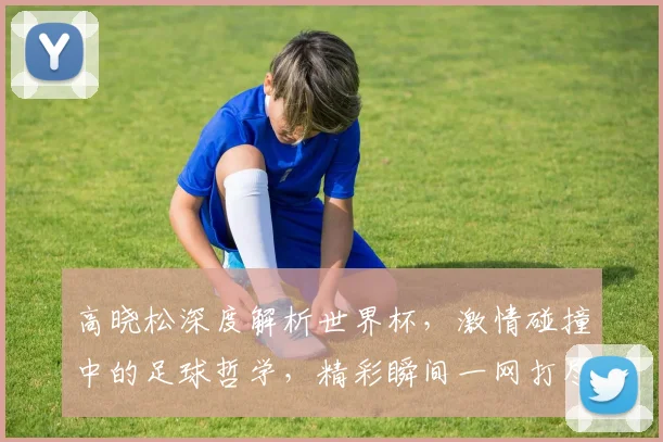 高晓松深度解析世界杯，激情碰撞中的足球哲学，精彩瞬间一网打尽
