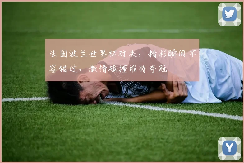 法国波兰世界杯对决，精彩瞬间不容错过，激情碰撞谁将夺冠