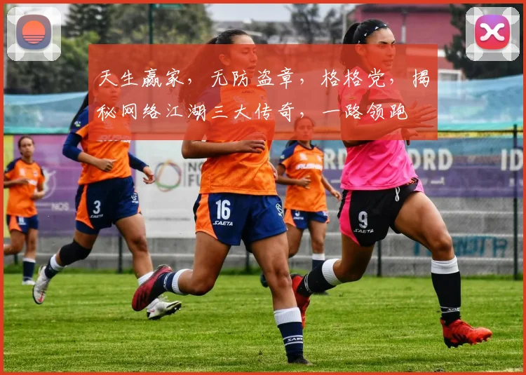 天生赢家，无防盗章，格格党，揭秘网络江湖三大传奇，一路领跑