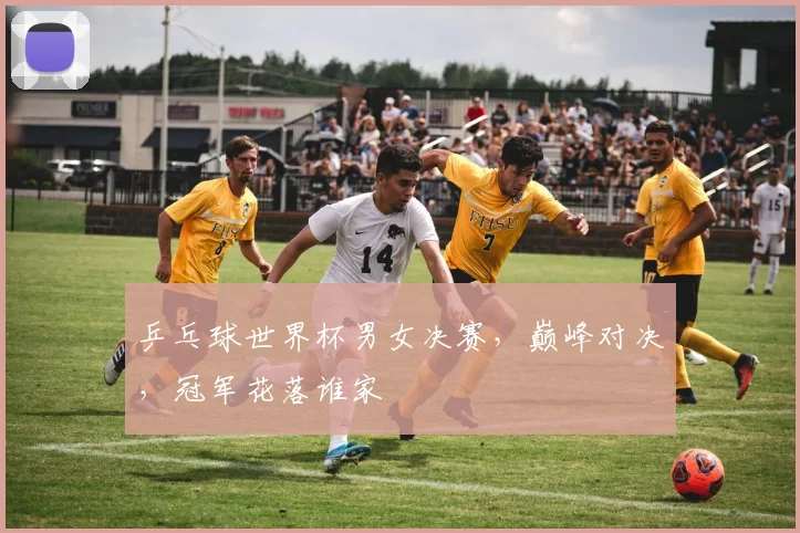 乒乓球世界杯男女决赛，巅峰对决，冠军花落谁家