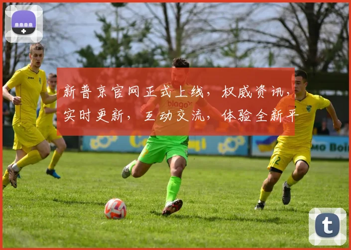 新普京官网正式上线，权威资讯，实时更新，互动交流，体验全新平台，一网打尽